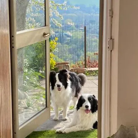 Apartamento Via Verdi 14