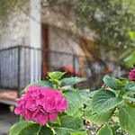 Апартаменты Via Verdi 14