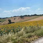 Via Verdi 14 *