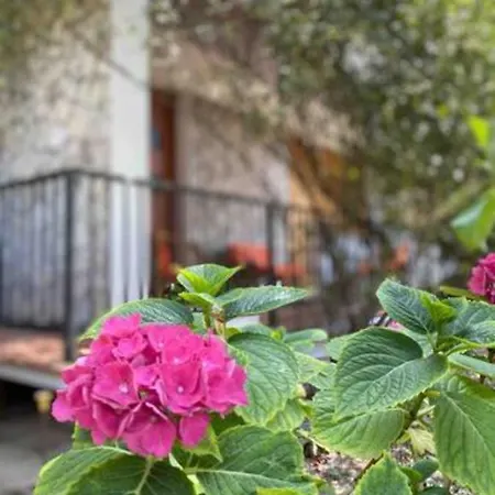 Apartment Via Verdi 14