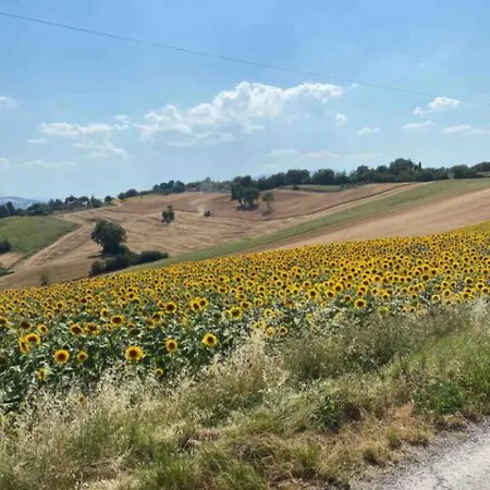Via Verdi 14 *