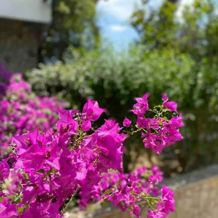 Via Verdi 14 * Mondolfo